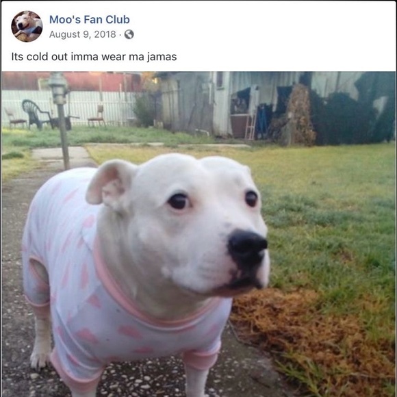 Meet your Posher, Mackenzie - Picture 2 of 5